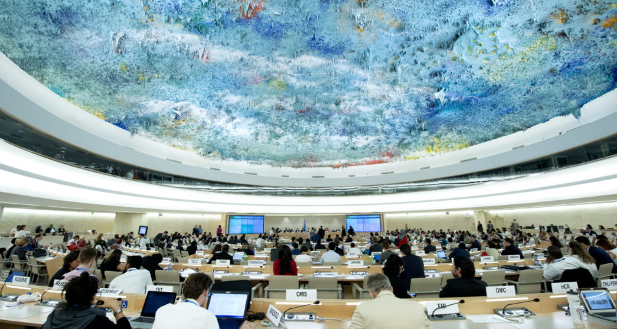Human Rights Council