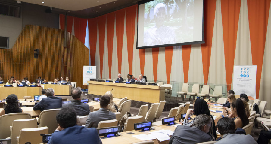 Economic And Social Council